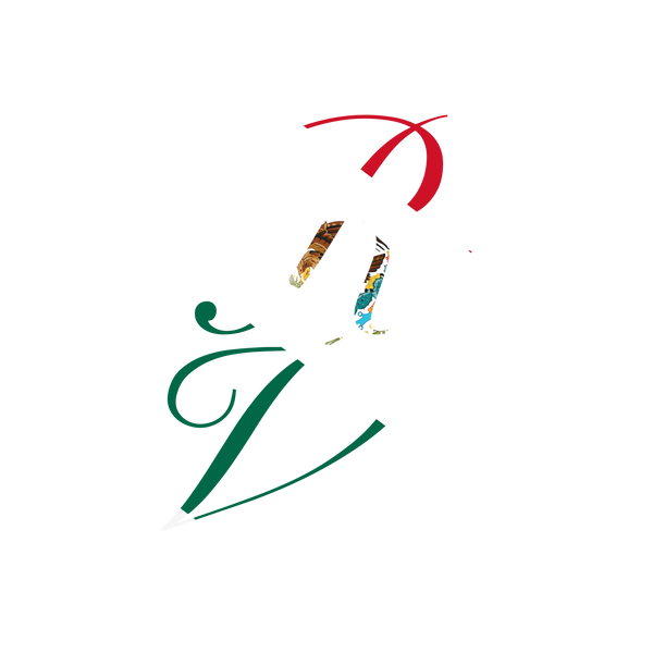 Reyvision
